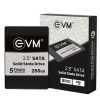 EVM SSD Laptop Desktop Internal Solid State Drive 256GB Eastern Logica